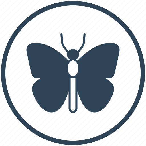Insect, butterfly, bug, fly icon - Download on Iconfinder