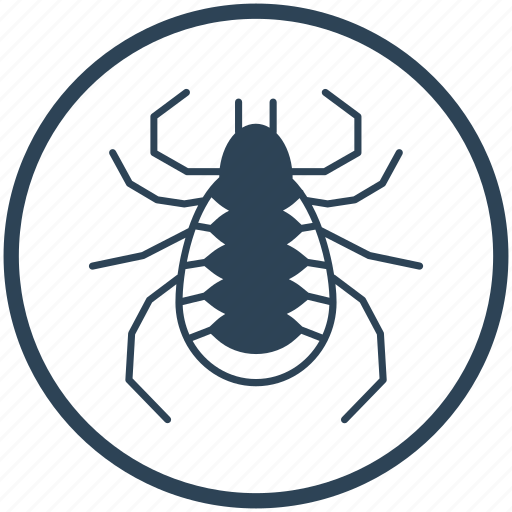 Insect, cat flea, bug, flea icon - Download on Iconfinder