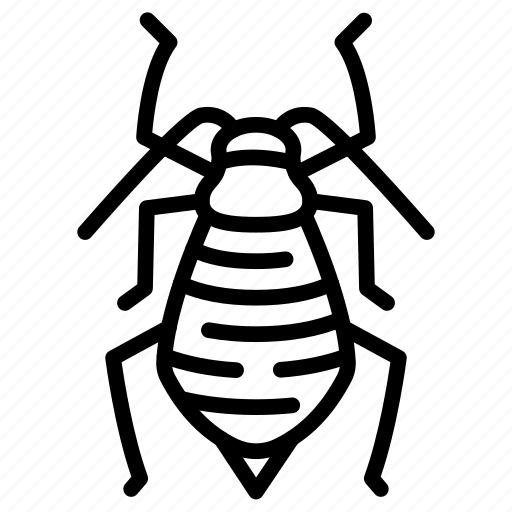 Aphid, insect, bug, animal icon - Download on Iconfinder