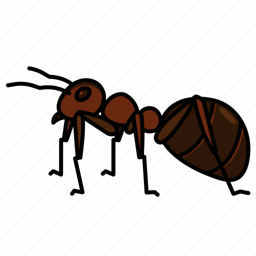 Ant, ants, arthropod, insects, animal icon - Download on Iconfinder