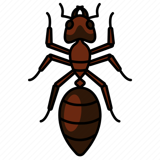 Ant, ants, arthropod, insects, animal, pest icon - Download on Iconfinder