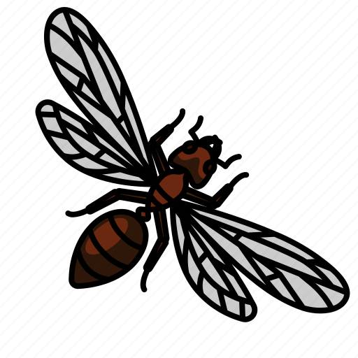 Ant, ants, winged, flyingant, arthropod, insects, animal icon - Download on Iconfinder