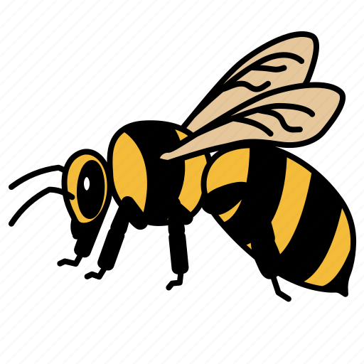 Bee, bumblebees, insect, animal, honey, entomology, wingedinsect icon - Download on Iconfinder