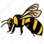 bee, bumblebees, insect, animal, honey, entomology, wingedinsect 