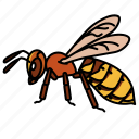 hornet, pest, entomology, insects, animal, wasp, stings