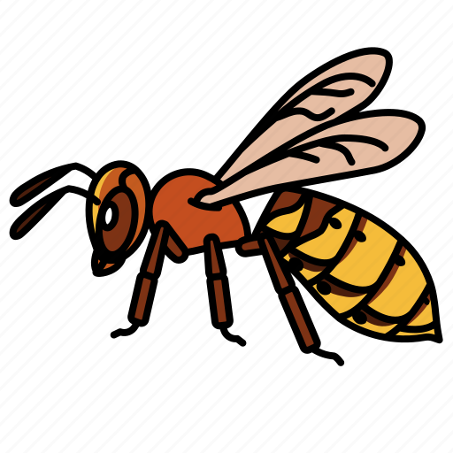 Hornet, pest, entomology, insects, animal, wasp, stings icon - Download on Iconfinder