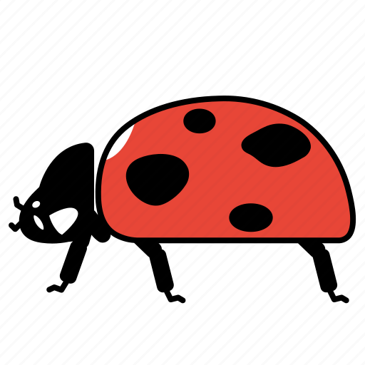 Ladybugs, beetles, ladybeetles, animal, insects, coleoptera, entomology icon - Download on Iconfinder