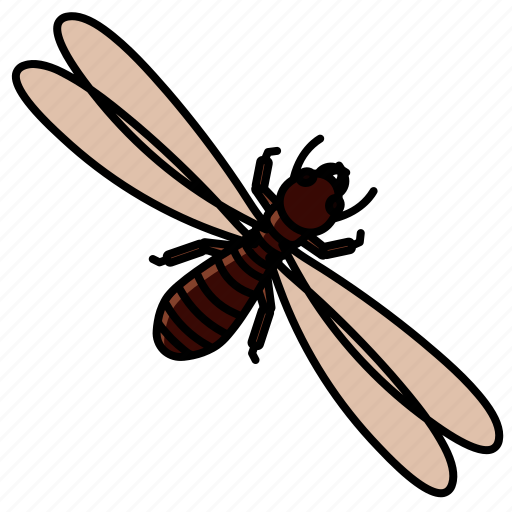Swarmer, termite, reproductive, animal, insect, wild icon - Download on Iconfinder