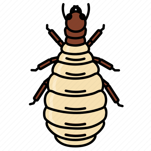 Termite, queen, pest, reproduction, insect, animal, wild icon - Download on Iconfinder