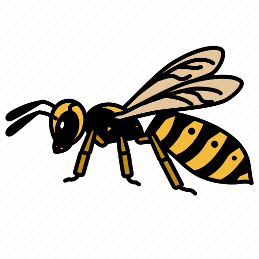 Wasp, yellowjacket, entomology, insects, animal, hornet, stings icon - Download on Iconfinder