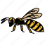 wasp, yellowjacket, entomology, insects, animal, hornet, stings, wild 