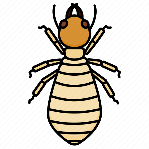 Worker, termite, insects, animal icon - Download on Iconfinder