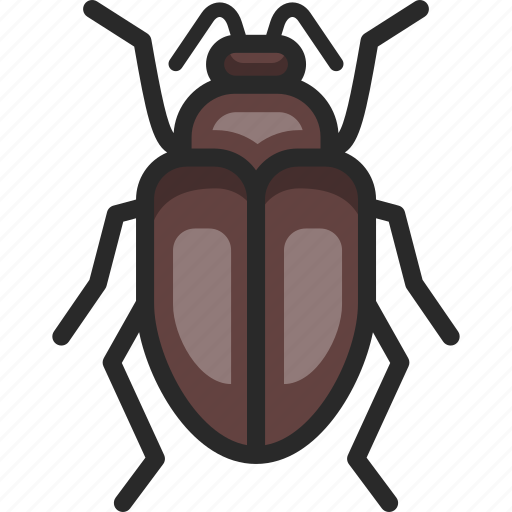 Beetle, scarab, scarabaeus icon - Download on Iconfinder