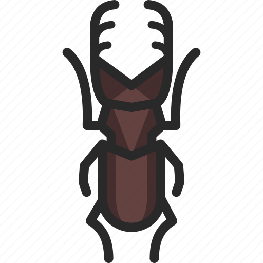 Beetle, ookuwagata, stag beetle icon - Download on Iconfinder