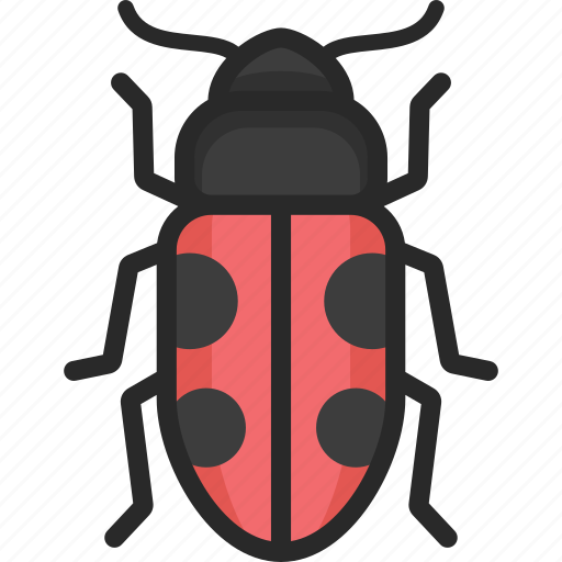 Beetle, bug, picnic, sap beetle icon - Download on Iconfinder