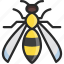 hornet, wasp, yellow jacket 