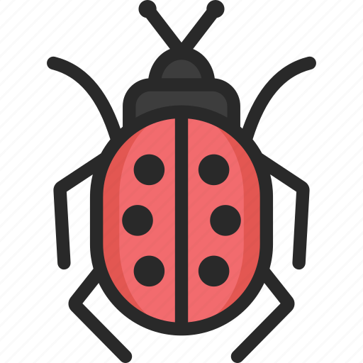 Insect, ladybird, ladybug icon - Download on Iconfinder