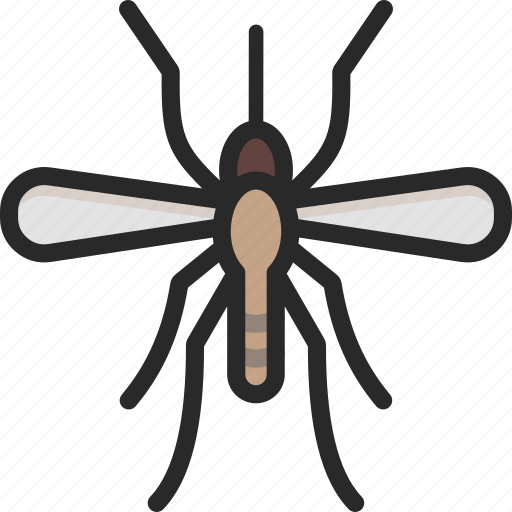 Crane fly, culex, mosquito icon - Download on Iconfinder