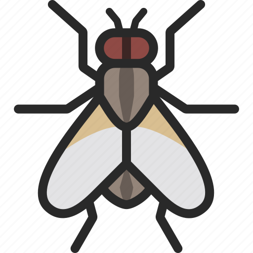 Fly, housefly, tsetse icon - Download on Iconfinder