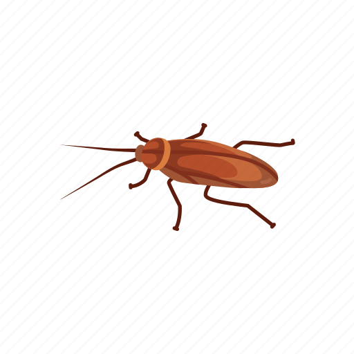 Animal, bug, cockroach, insect, pest, ship cockroach, waterbug icon - Download on Iconfinder