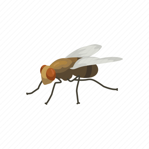 Bloodsucker, fly, housefly, insect, invertebrates, pest icon - Download on Iconfinder