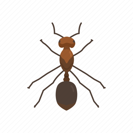 Animal, ant, bug, fire ant, insects, invertebrates, red ant icon - Download on Iconfinder
