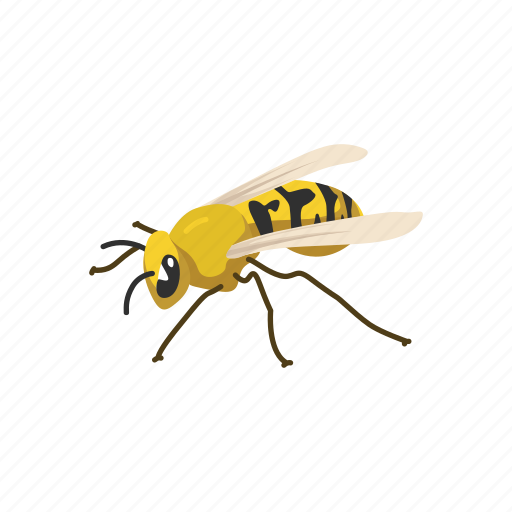 Animal, bee, beeswax, flying insect, insect, invertebrates, wasp icon - Download on Iconfinder