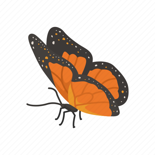 Animal, butterfly, flying insects, insect, moth, pest, skipper icon - Download on Iconfinder