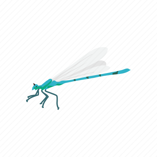 Animal, damselfly, dragon fly, emerald damselfly, insect, nymph icon - Download on Iconfinder