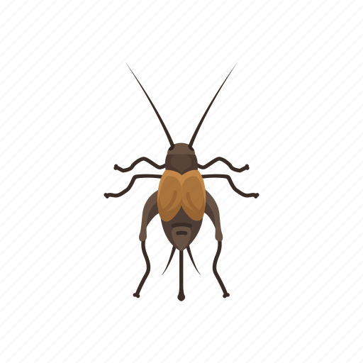 Animal, cricket, grasshopper, inset, pest, tree cricket icon - Download on Iconfinder
