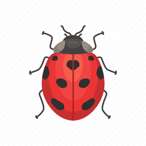 Animal, bug, insects, lady beetle, lady bug, ladybird icon - Download on Iconfinder