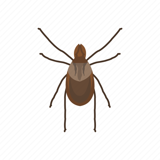 Animal, arachnids, hard tick, insects, parasite, scale tick, tick icon - Download on Iconfinder