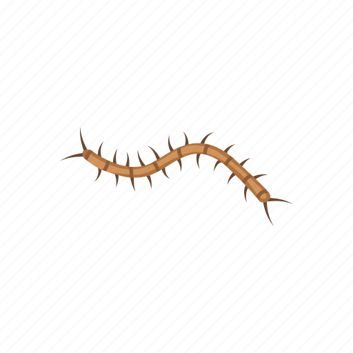 Animal, bloodsucker, centipede, insects, invertebrate, parasite, stone centipede icon - Download on Iconfinder