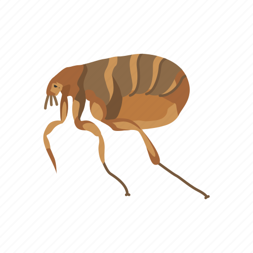 Animal, bloodsucker, flea, fleas, insects, parasite icon - Download on Iconfinder