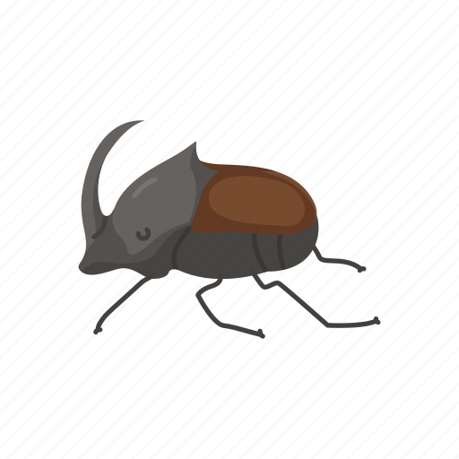 Animal, beetle, dung beetle, dwellers, insects icon - Download on Iconfinder