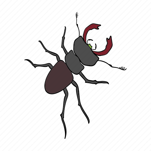 Animal, arthropod, bug, insect, zoo icon - Download on Iconfinder