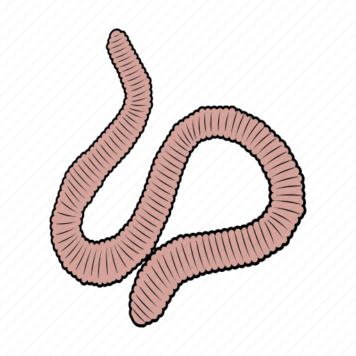 Animal, earthworm, insect, nature, worm, zoo icon - Download on Iconfinder