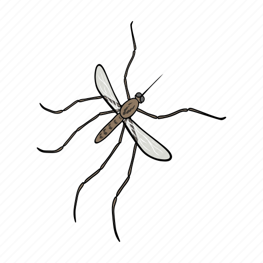 Animal, arthropod, bite, fly, insect, mosquito icon - Download on Iconfinder