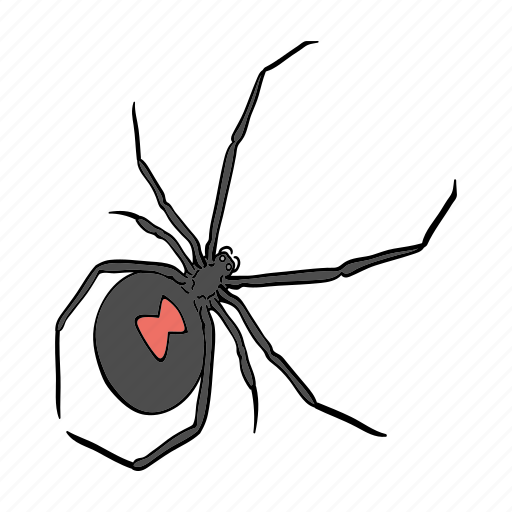 Arthropod, bug, insect, predator, spider icon - Download on Iconfinder