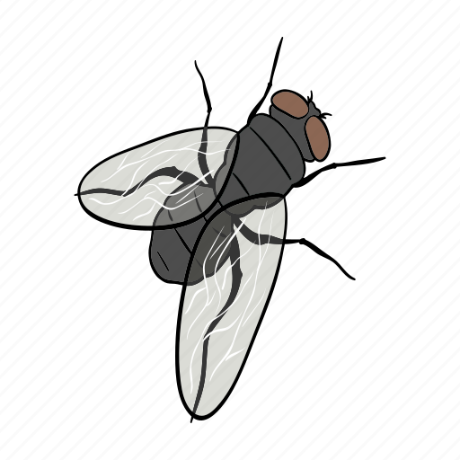 Arthropod, fly, insect, winged icon - Download on Iconfinder