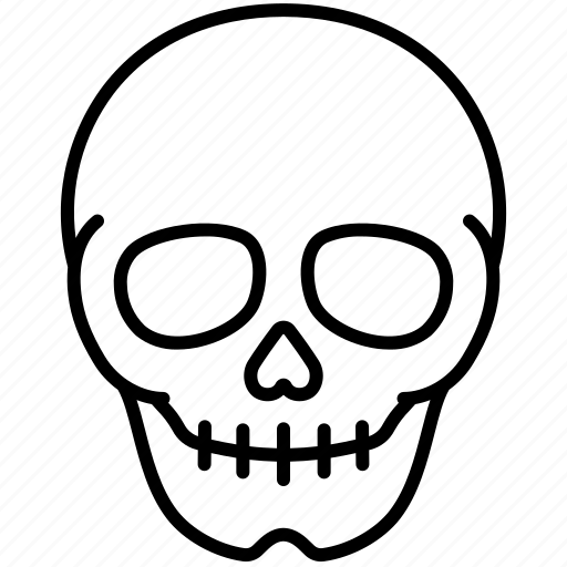 Anatomy, body, bones, head, human, organ, skull icon - Download on Iconfinder