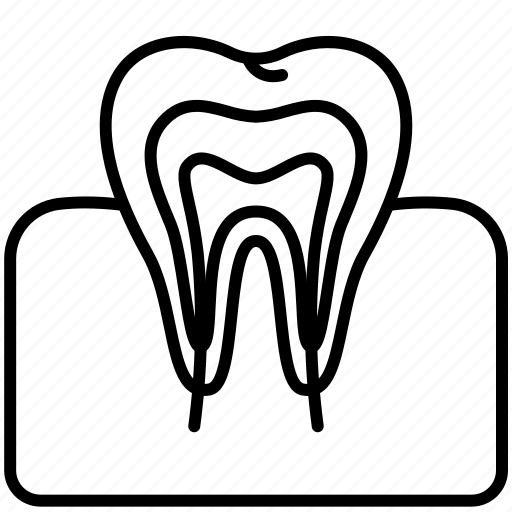 Chewing, gum, human, internal, organ, teeth, tooth icon - Download on Iconfinder