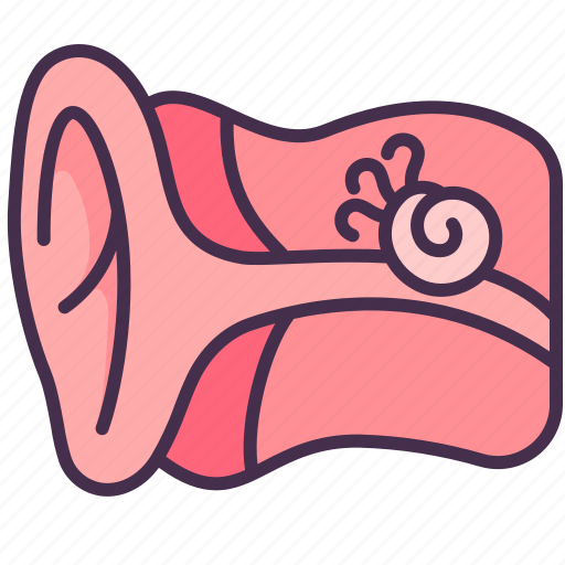 Body, ear, human, internal, listen, sensing, spiral icon - Download on Iconfinder
