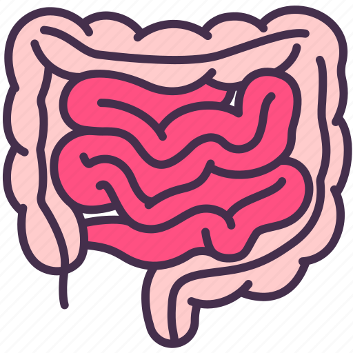 Appendix, body, digestive, human, internal, intestine, organ icon - Download on Iconfinder