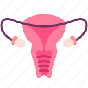 female, human, internal, organ, ovary, reproductive, vagina