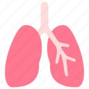 body, human, internal, lungs, organ, respiratory, system