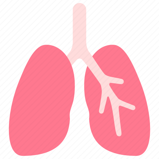 Body, human, internal, lungs, organ, respiratory, system icon - Download on Iconfinder