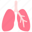 body, human, internal, lungs, organ, respiratory, system 