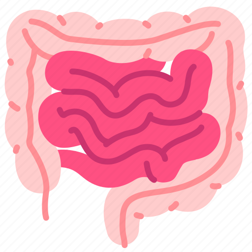 Appendix, body, digestive, human, internal, intestine, organ icon - Download on Iconfinder