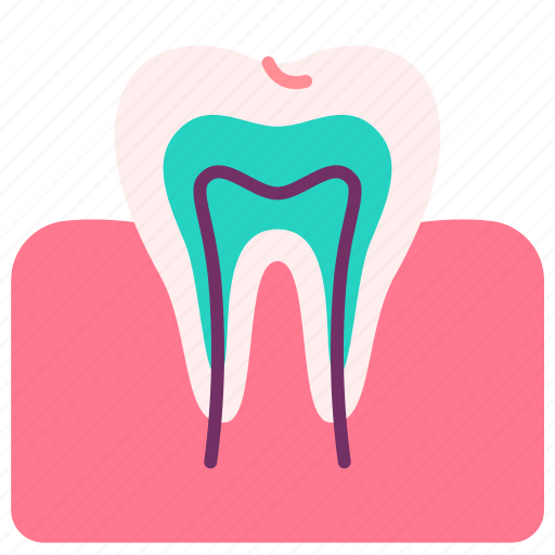 Chewing, gum, human, internal, organ, teeth, tooth icon - Download on Iconfinder